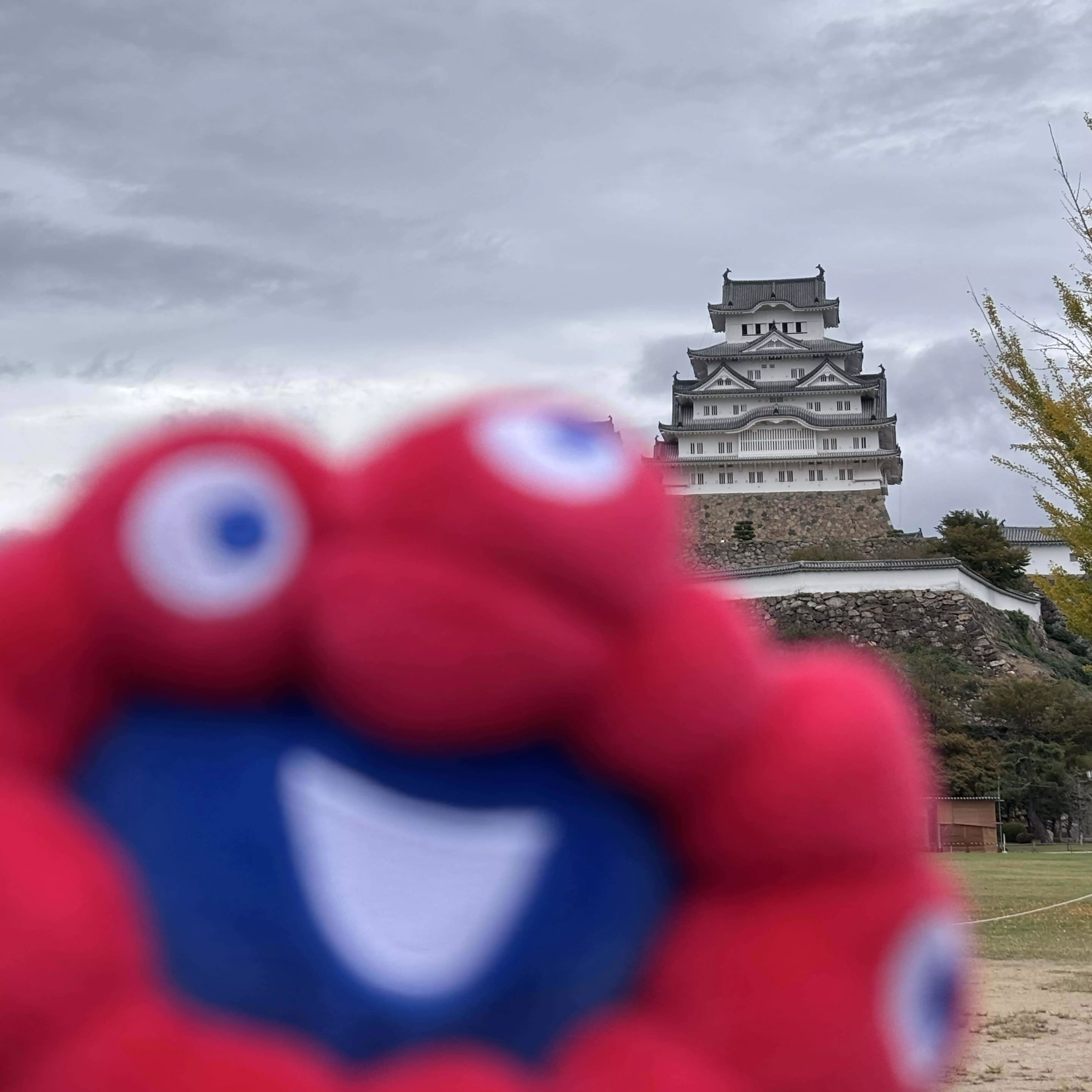 すば