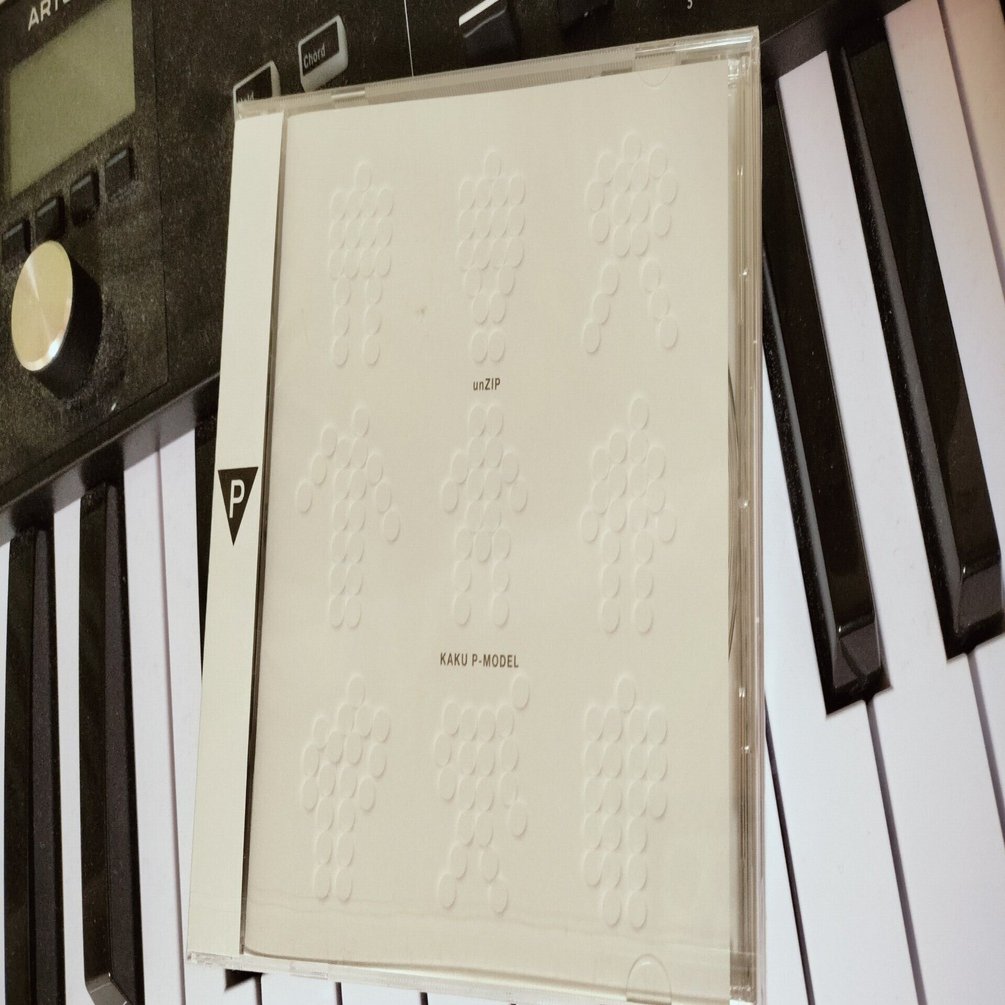 核P-MODEL/unZIP 感想・レビュー｜gorozin