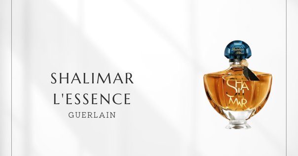 kerzon PLACE DES VOSGES 香水 ヴォージュ広場｜ローズとレンガの香り – NOSE SHOP