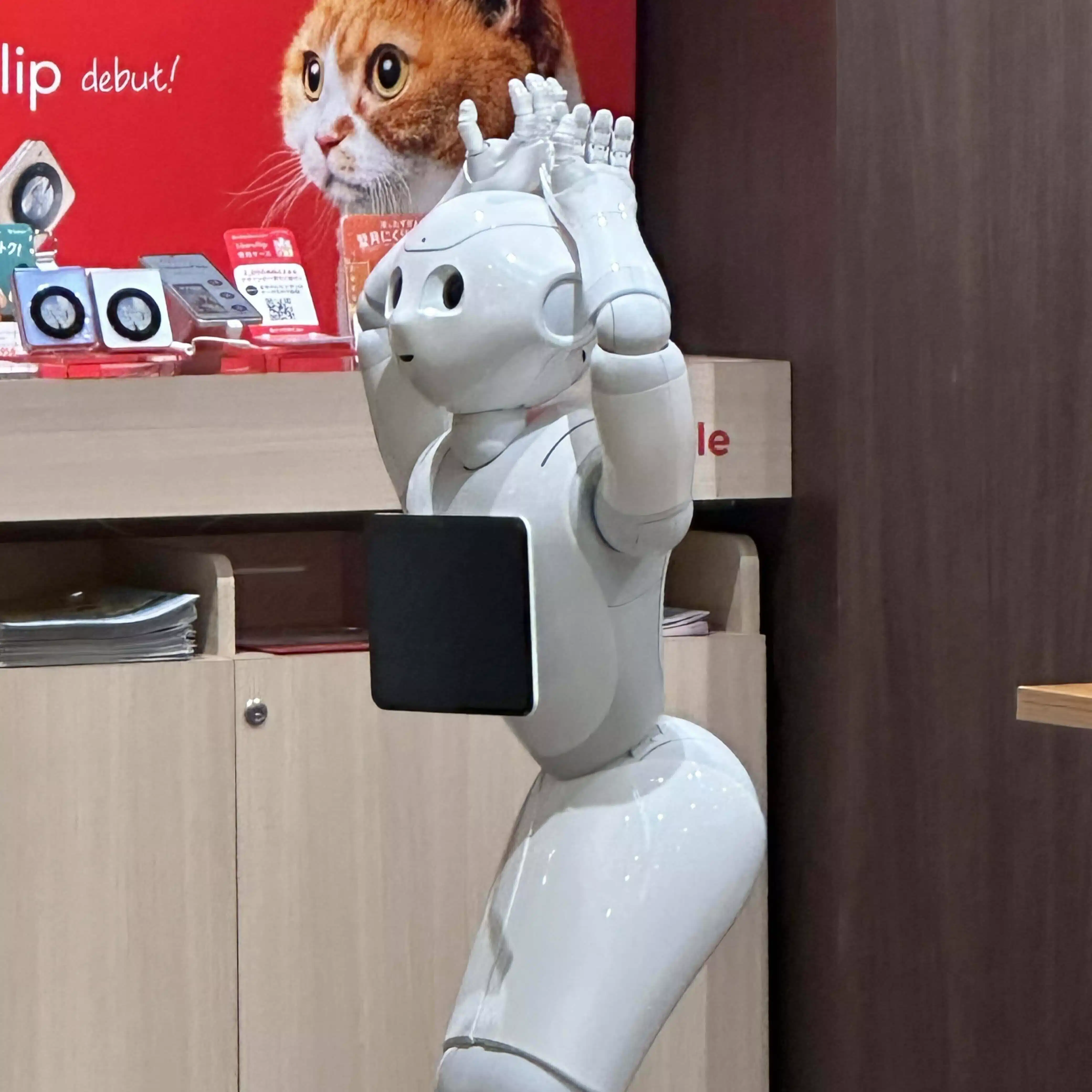 ペッパーﾁｬﾝ