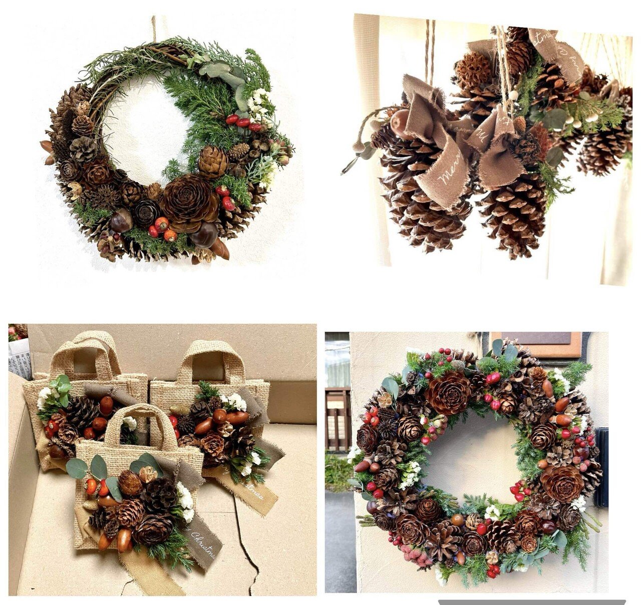 身近な木の実図鑑｜あきみらい