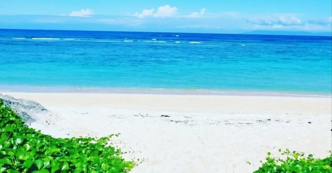 八重山諸島〜波照間島へ🏝️｜sachitabi