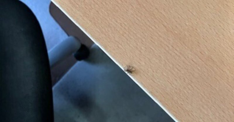 机の上の小さな蜘蛛