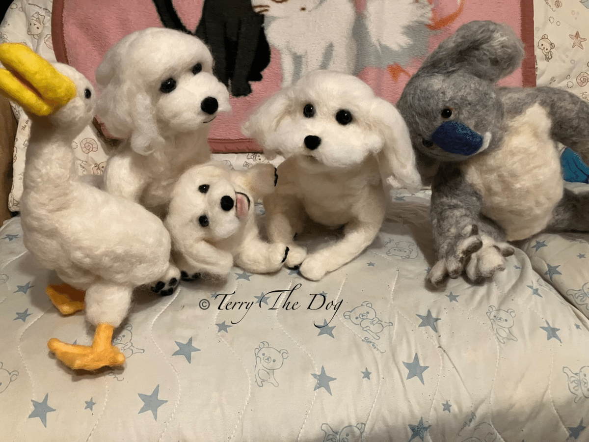 羊毛フェルト　リラックス　マルチーズ 羊毛フェルト リラックス マルチーズ