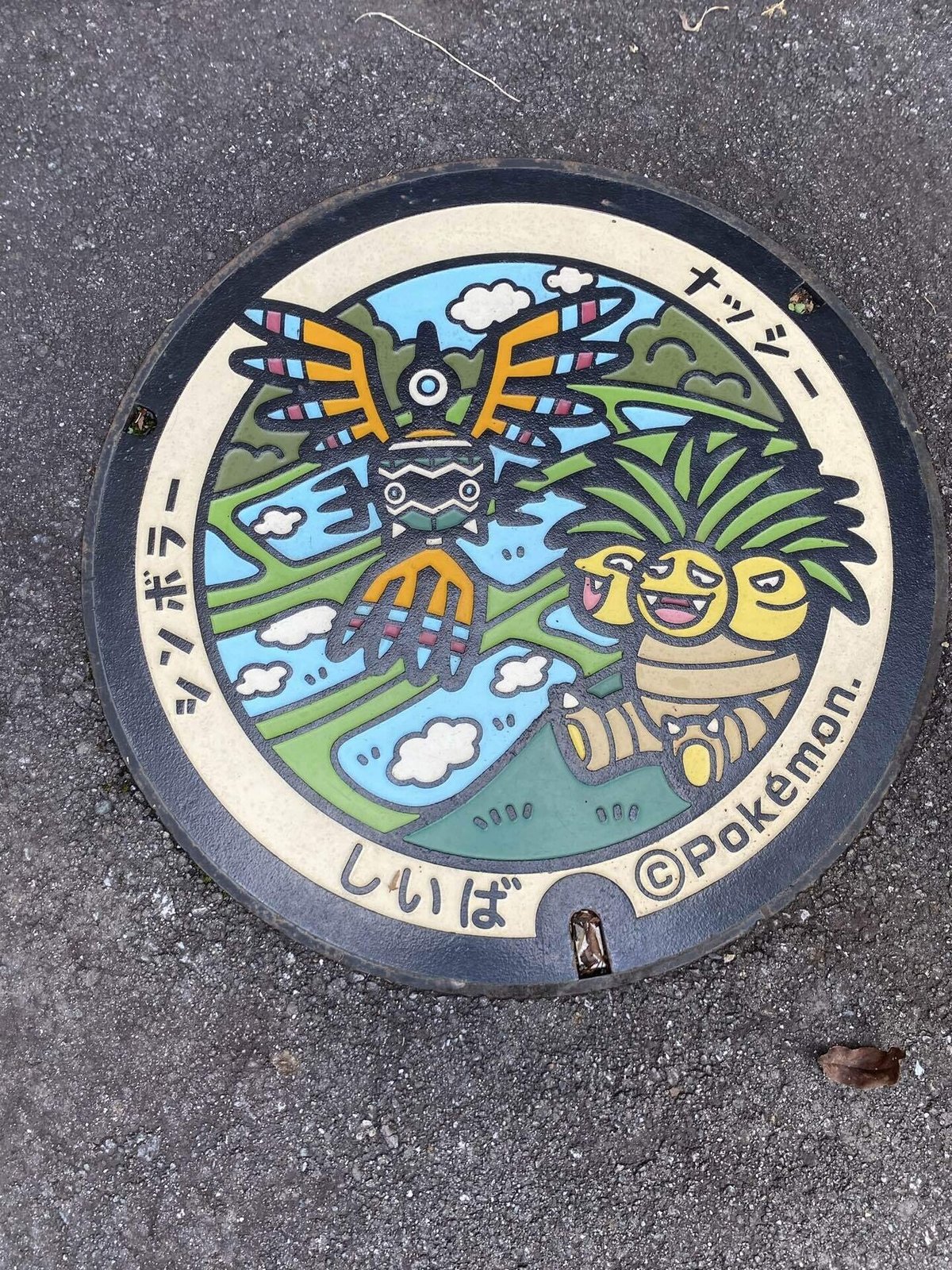 宮崎の秘境、椎葉村へ｜Meijia