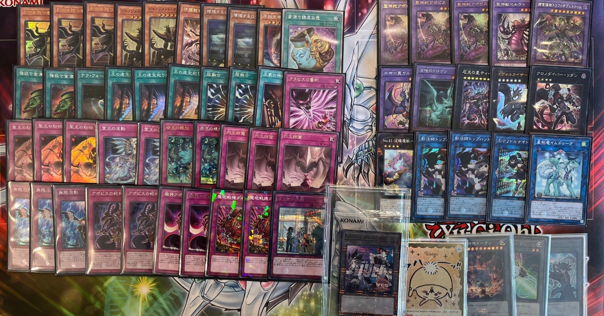 YCSJ名古屋2025レポ｜イケ