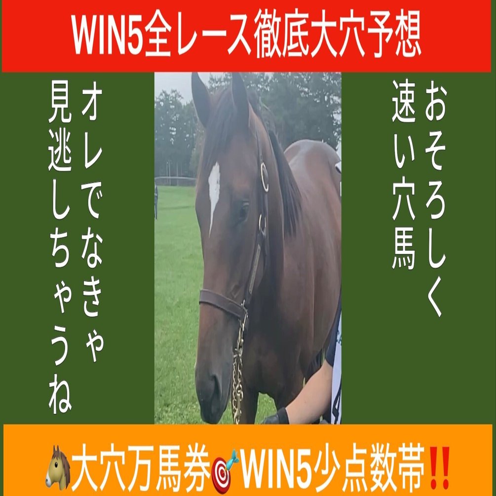 WIN5】天皇賞・秋はじめWIN5全レース予想考察！穴馬、大穴馬を徹底分析