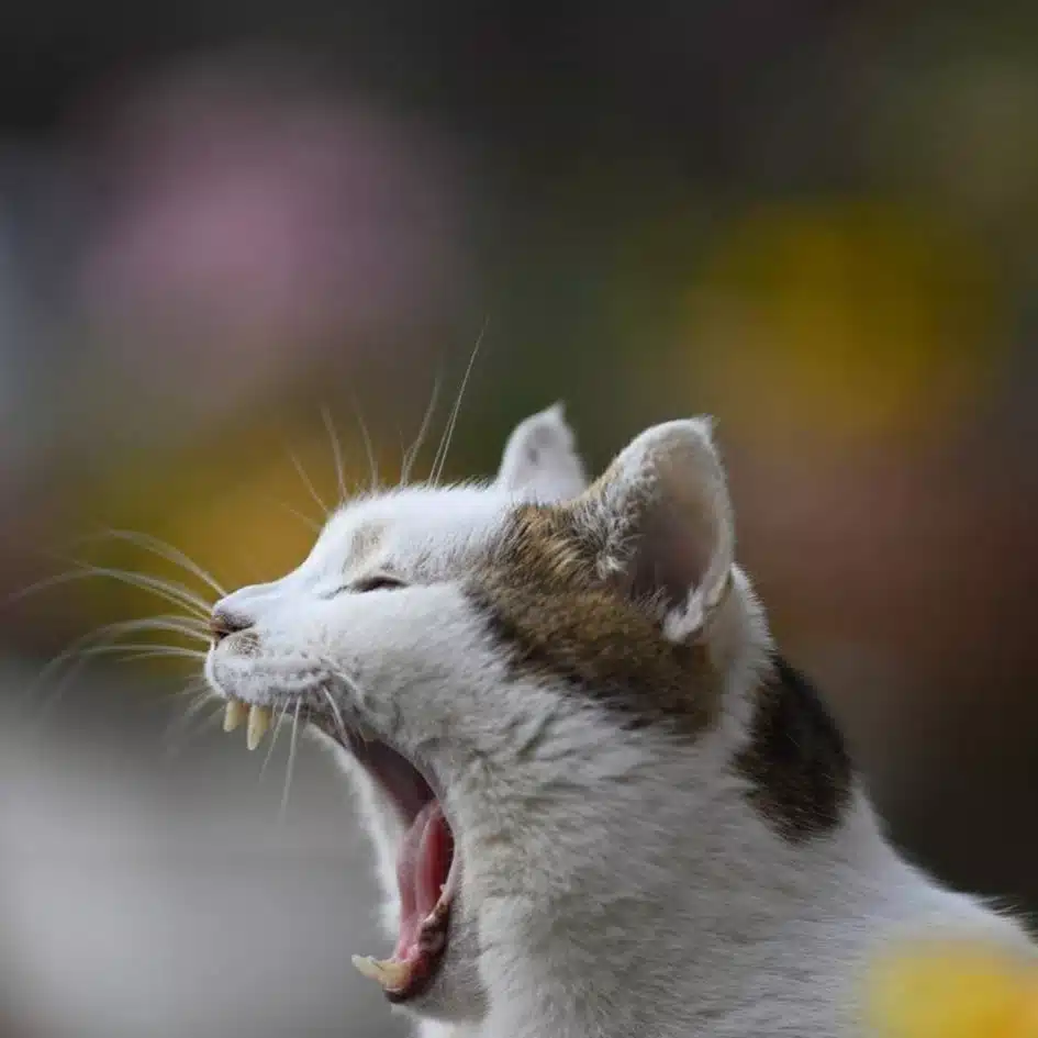 にに