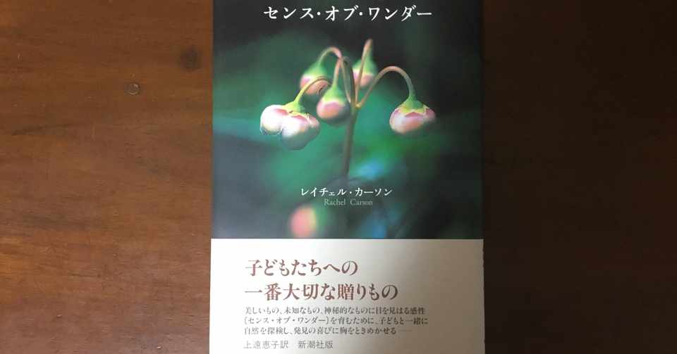 本を読む センス オブ ワンダー レイチェル カーソン Kei Note