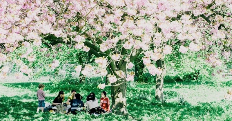 旅するLONDON . Spring has come in Regent’s Park .