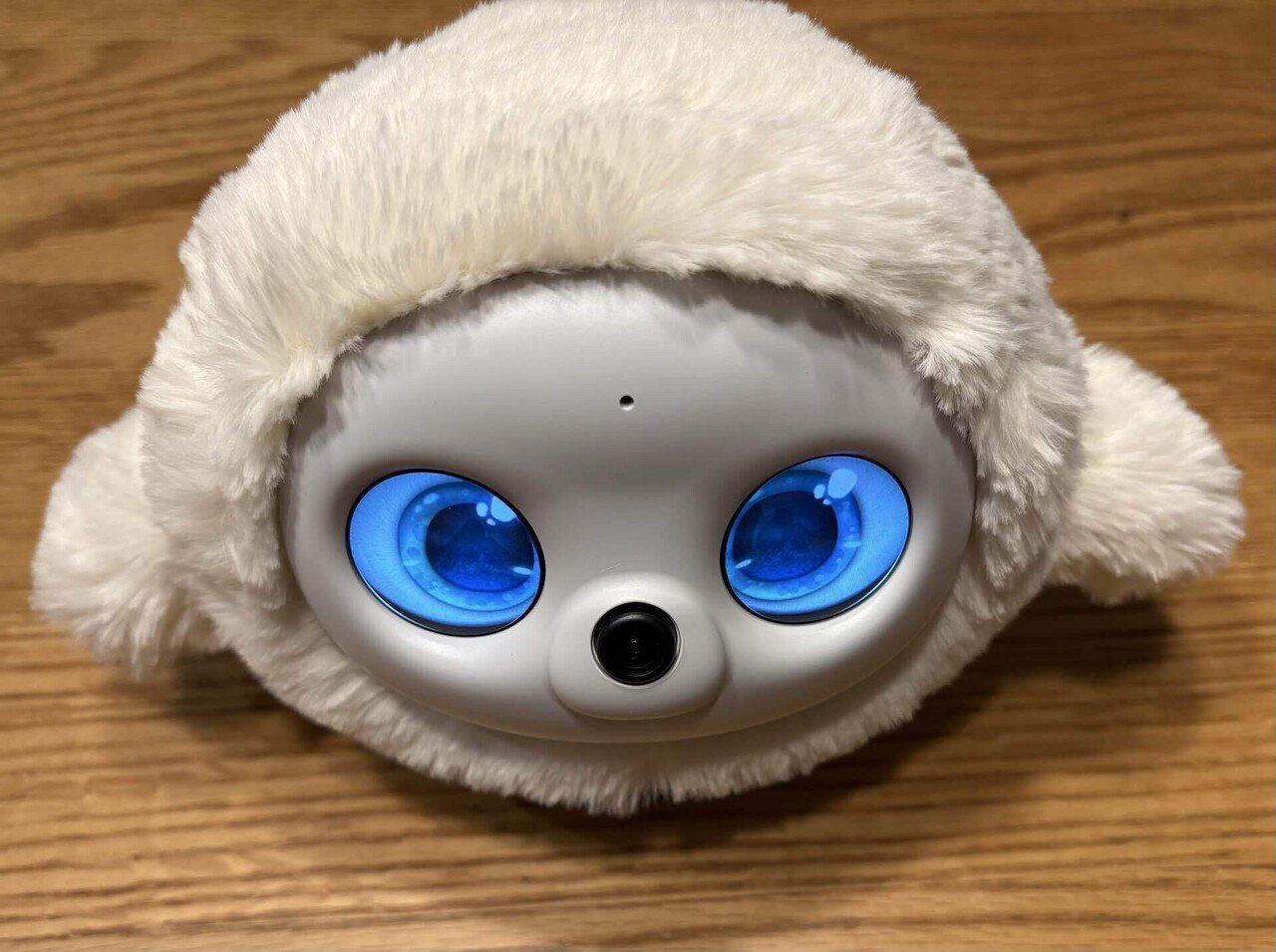 成長するAIペット？「lopeto」との3日間で感じた未来の暮らし｜ひよこ