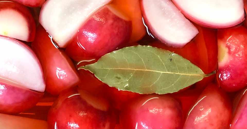 立ち飲み母ちゃん 11 ラディッシュのピクルスもとい二十日大根の甘酢漬け 深水千世 Note