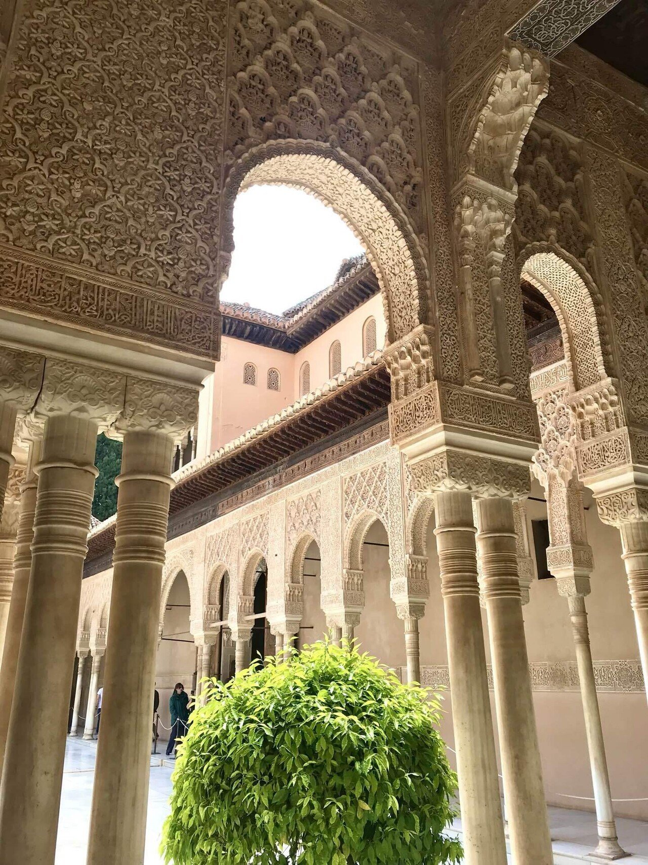 薔薇咲き誇る夢のアルハンブラ〜 スペイン🇪🇸 | 40女のヨーロッパ乗り