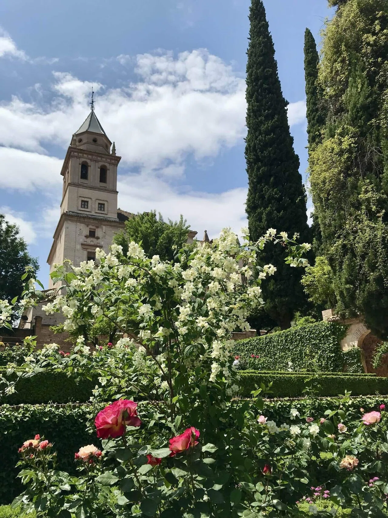 薔薇咲き誇る夢のアルハンブラ〜 スペイン🇪🇸 | 40女のヨーロッパ乗り