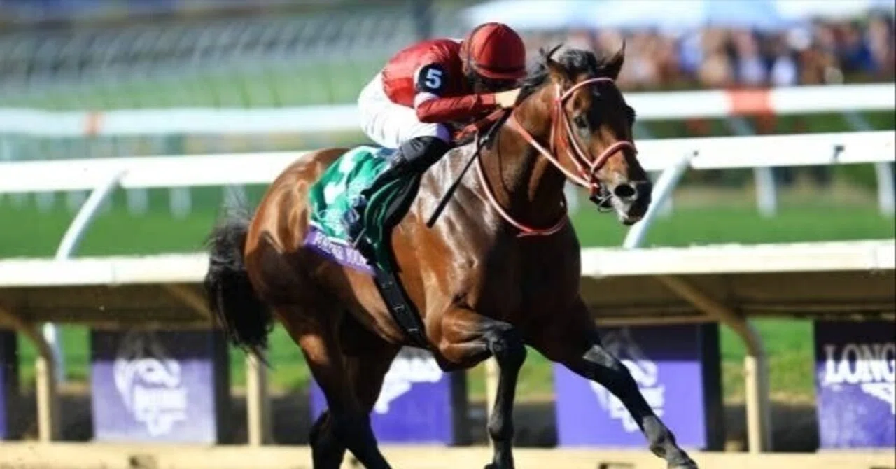 BCクラシック】「フォーエバーヤング」日本馬初快挙?｜TASEI 