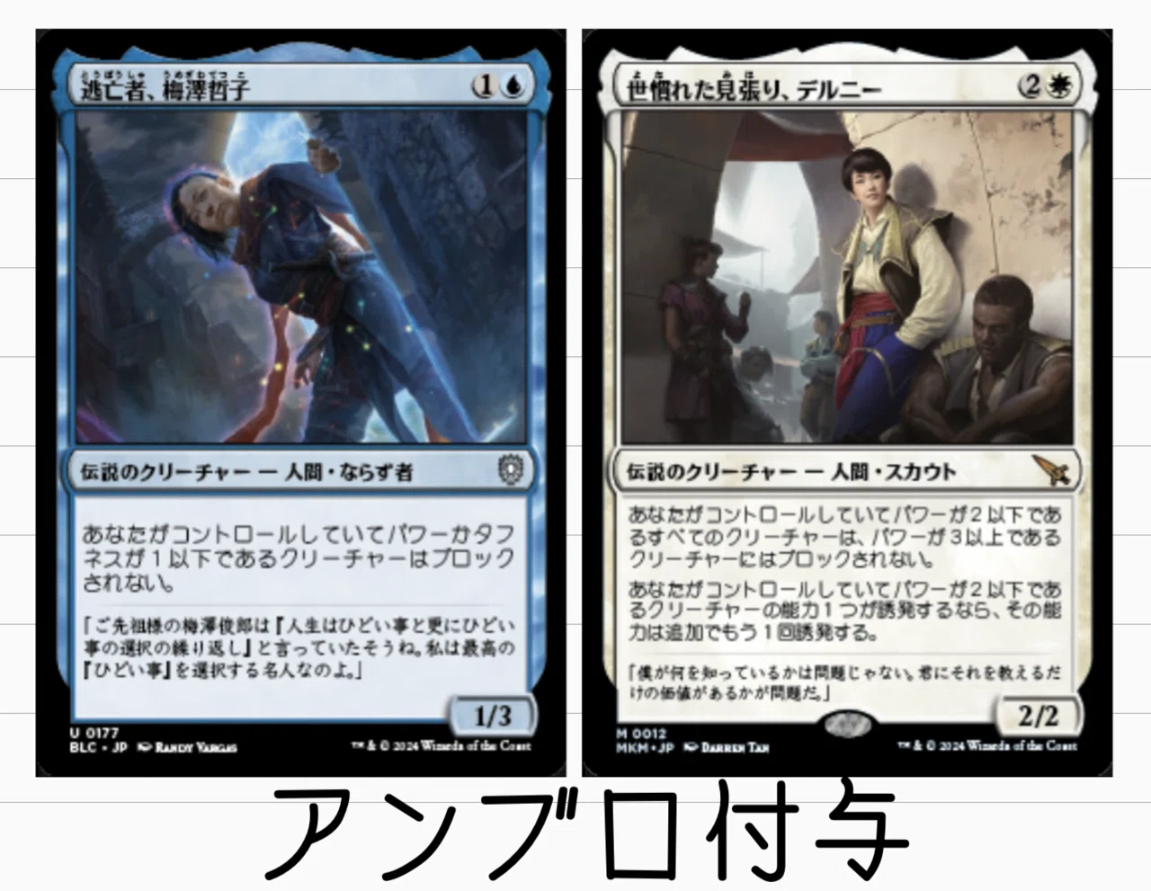水の部族の希望、カタラ》EDH・統率者【ブラケット3】アバター伝説の