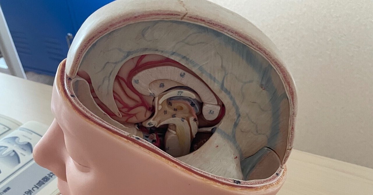 クラニオセイクラルバイオダイナミクス｜motoko29