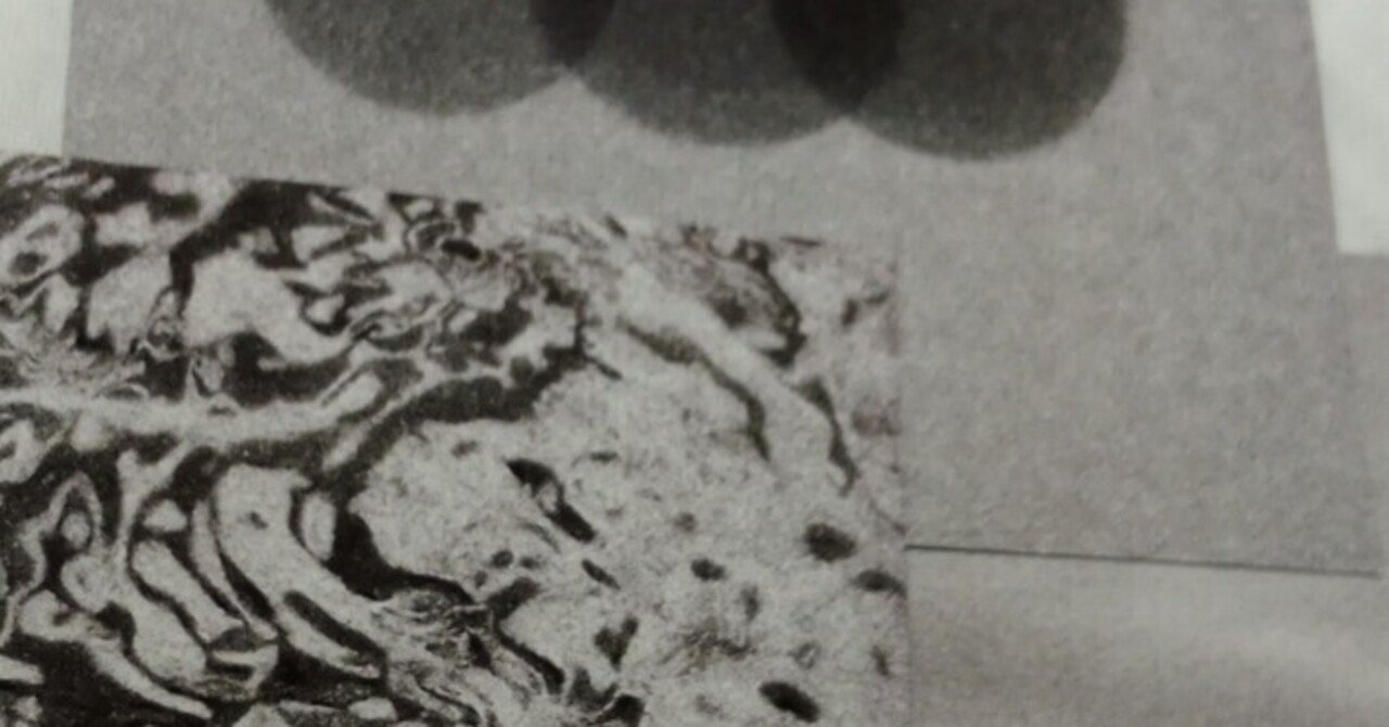 イソ個展『shadow is light; light is shadow』（吉祥寺・between