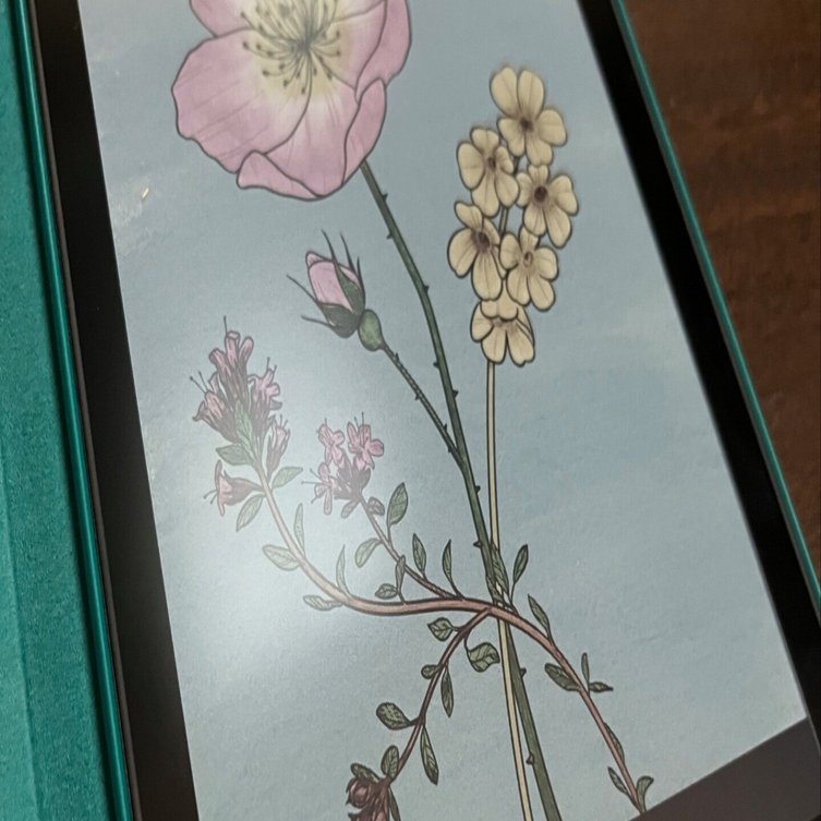 Kindle Colorsoft買ってみた正直レビュー：色は淡い。でも“色がある”っ