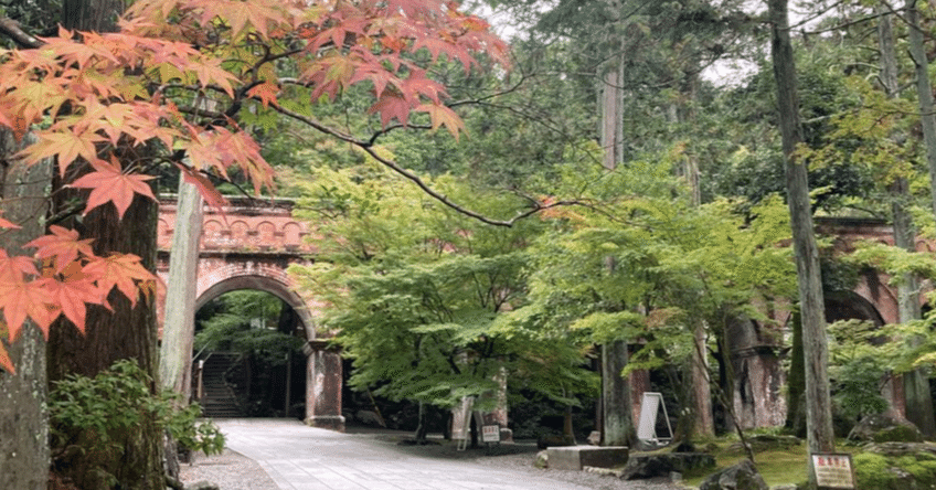 20d5527886433af946a12116c7332c