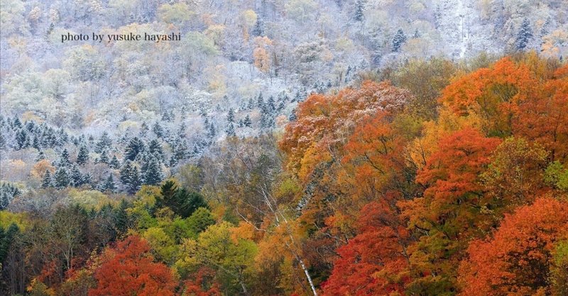 写真家 林祐介｜note