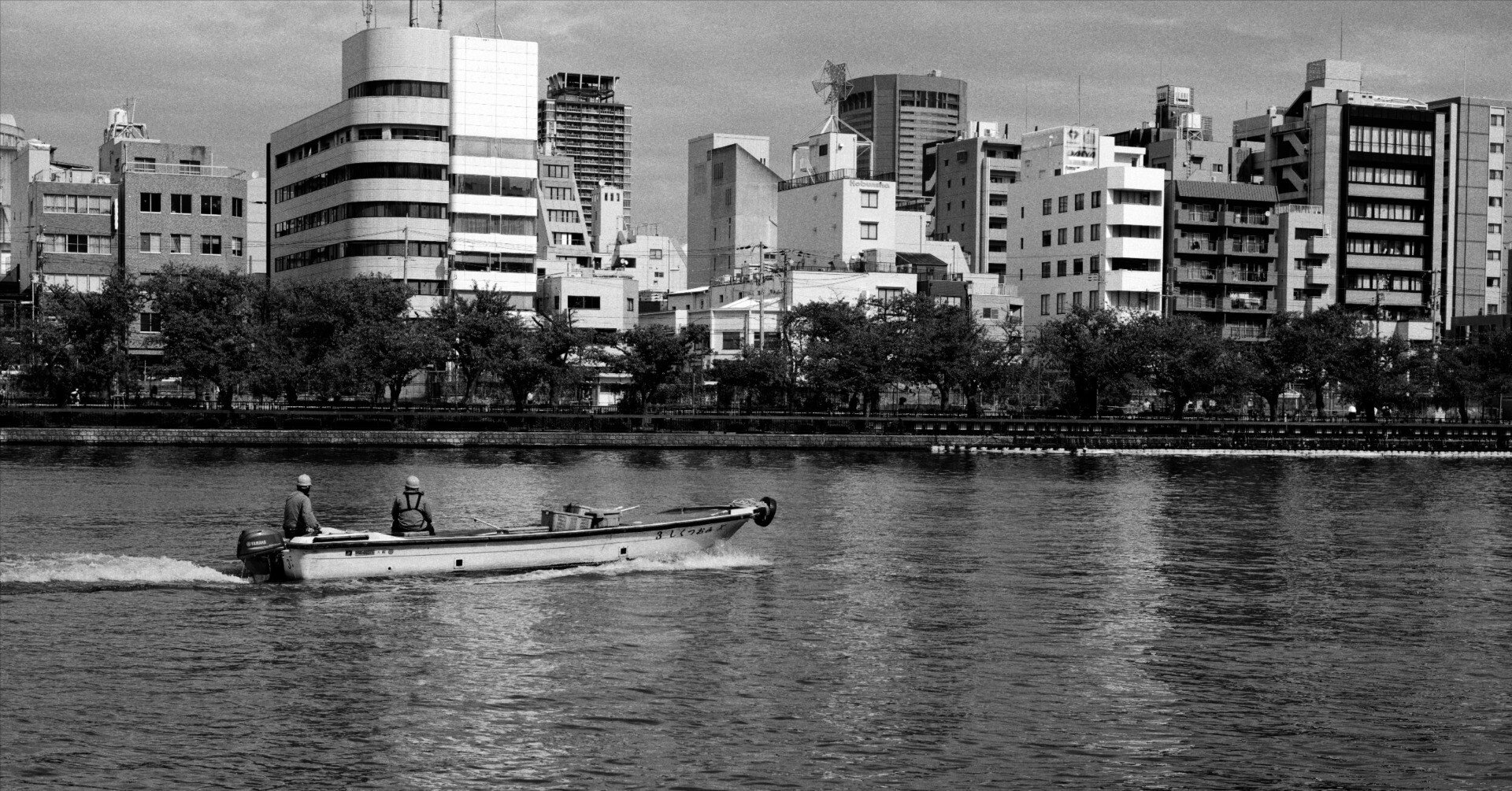 LEICA Typ246］本気で白黒写真を撮りたいと思った話｜masa