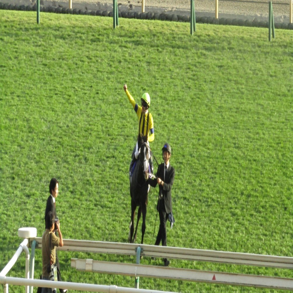 写真】東京競馬場20251102天皇賞（秋）｜keita