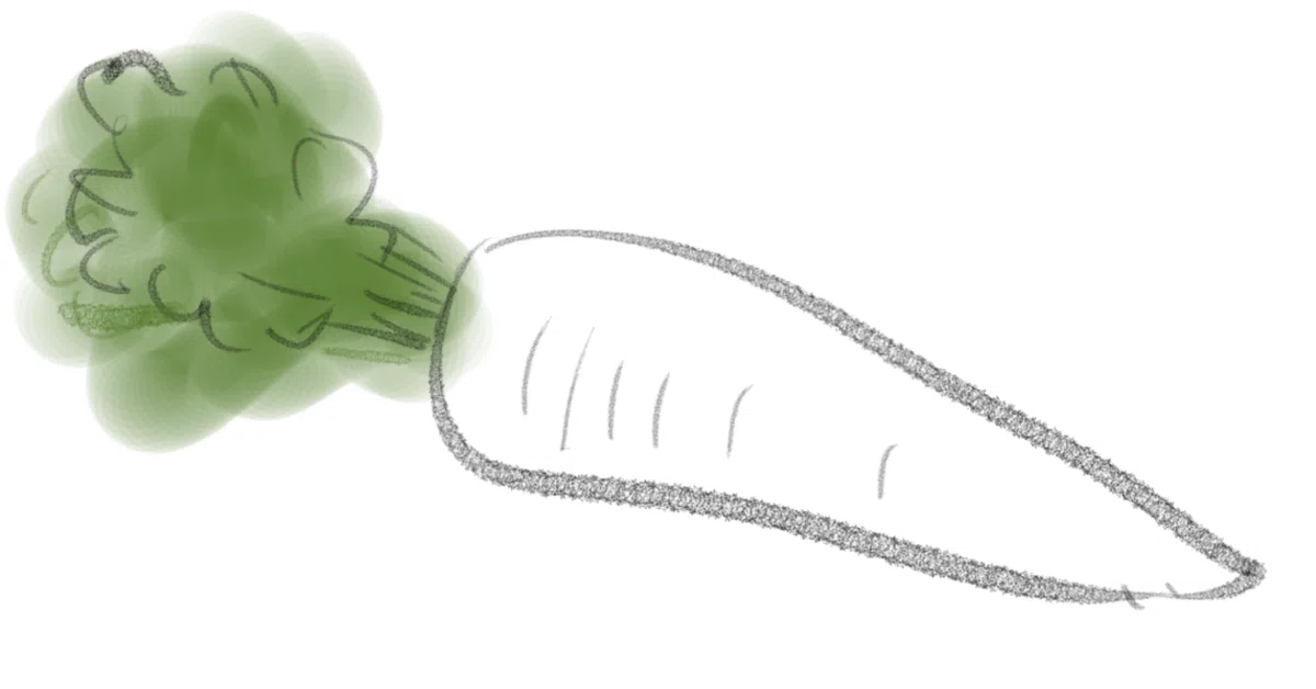 Squash Net For Insect Control Growth of Daikon Radishes|夢見るにゃんたろう