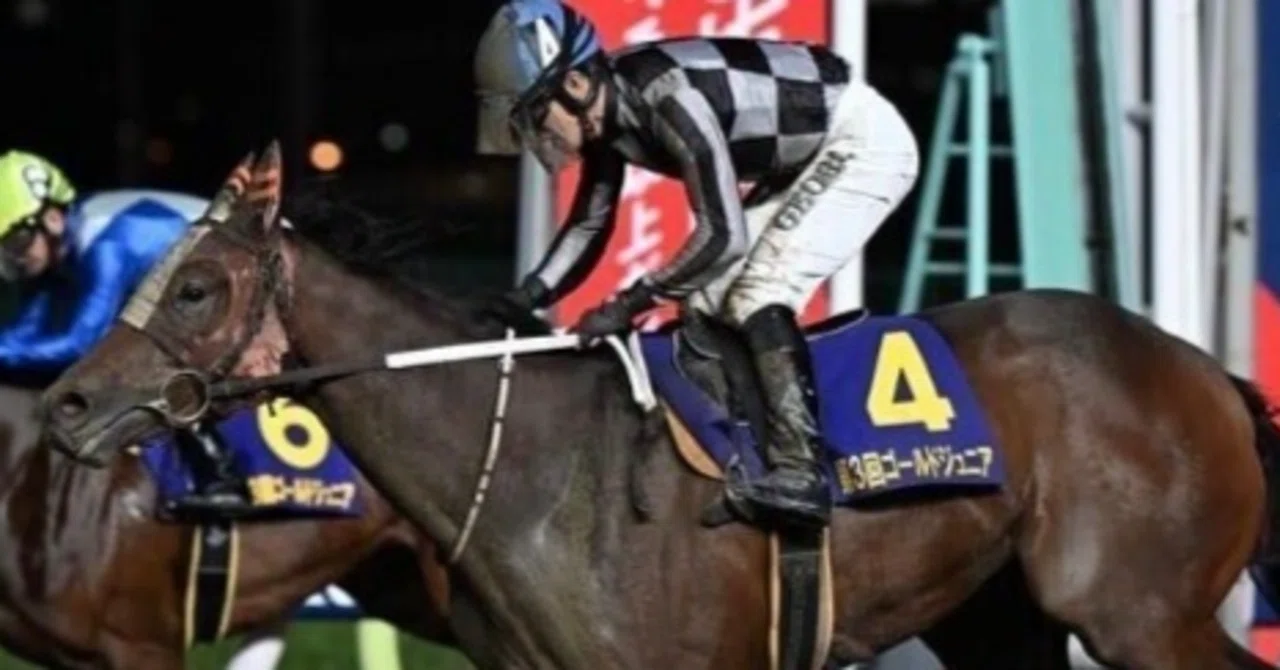 11月3日 門別競馬 全レース指数公開｜妙味馬券ハンターうま吉。