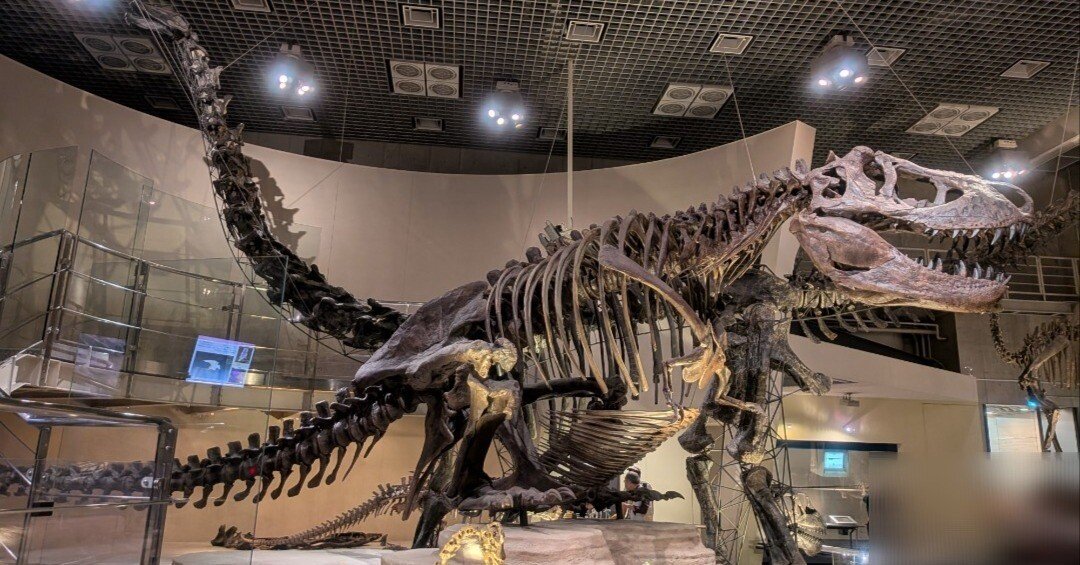 鑑定団級のお宝！東京国立科学博物館の探検館で実際に使われていた