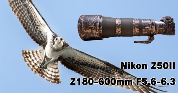 コンパクトな望遠レンズを買ったので野鳥が撮れるか試してみた｜chov