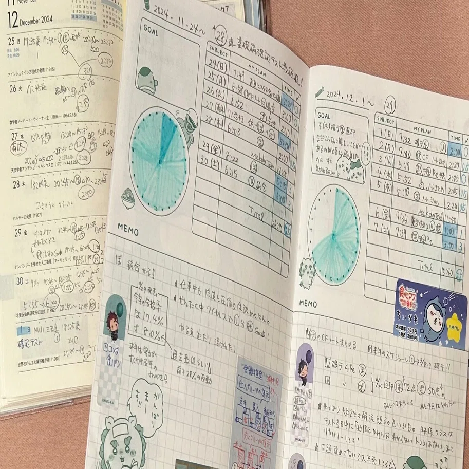 書込無し 赤シート付】2025 大原 税理士 財務諸表論 要点チェック