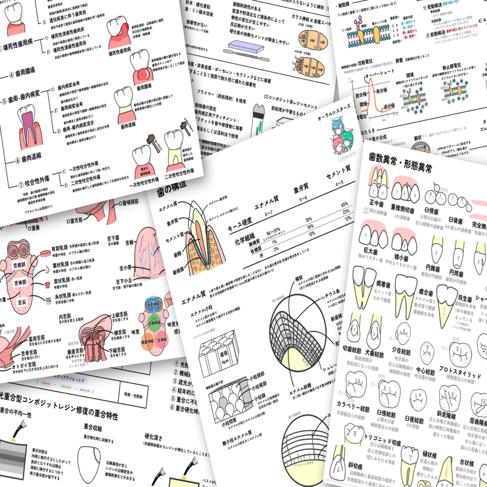 📎まとめ【乳歯用既製金属冠修復の手順】PDF📄歯科衛生士国家試験