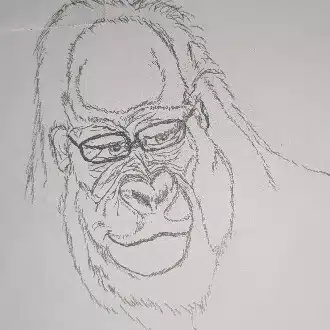 話のわかるゴリラ👓️