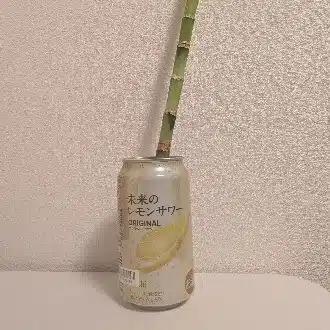 無キャラボ