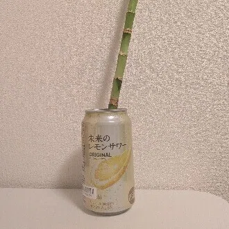 無キャラボ