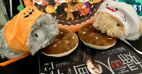 平沢進「景観する循環カフェ」｜kermit_nawoko