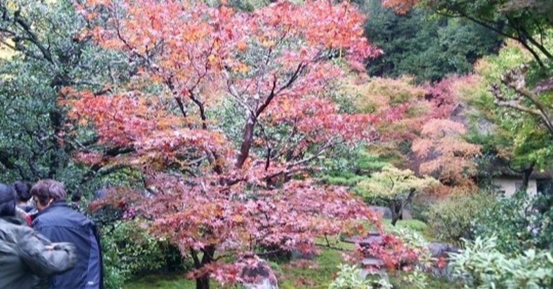 京都　鈴虫寺・月読神社・松尾大社・今宮神社・上賀茂神社・金閣寺・安井金毘羅宮・高台寺