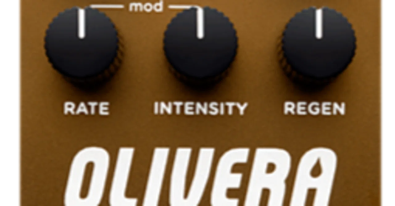 オイル缶エコーのサウンドを再現したディレイ Strymon OLIVERA｜ギター