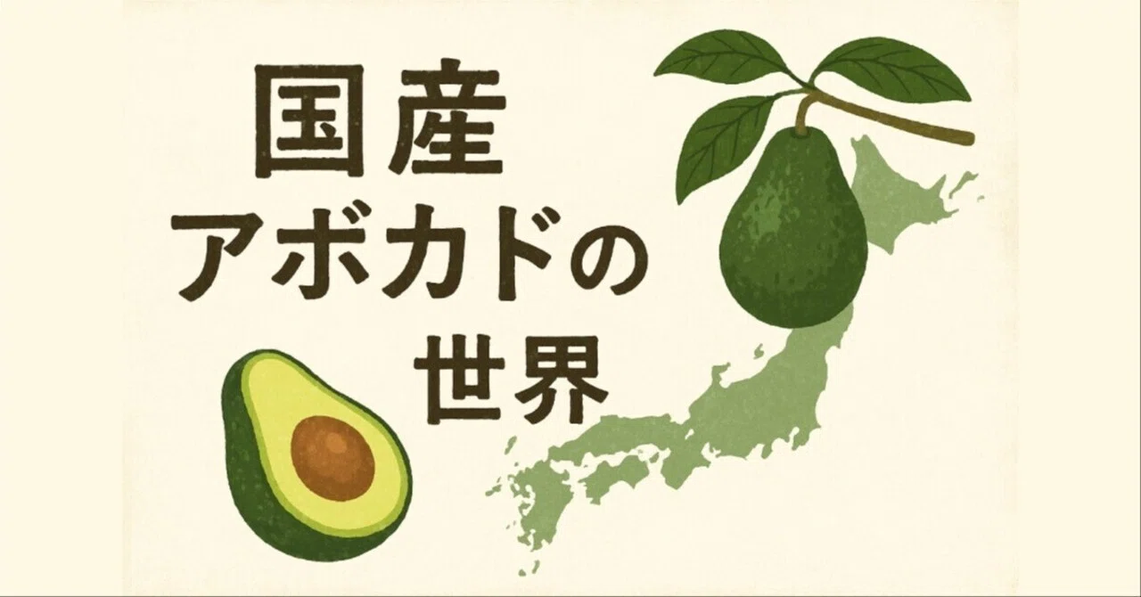 食と未来】国産アボカドの世界 ― “南国の果実”が日本で育つ日