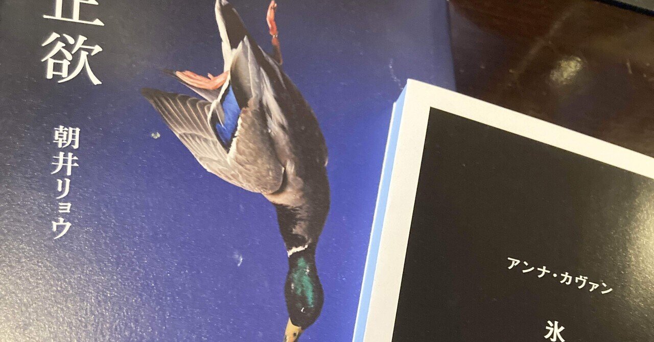 71冊目】正欲 / 朝井リョウ｜Kent Yamasaki