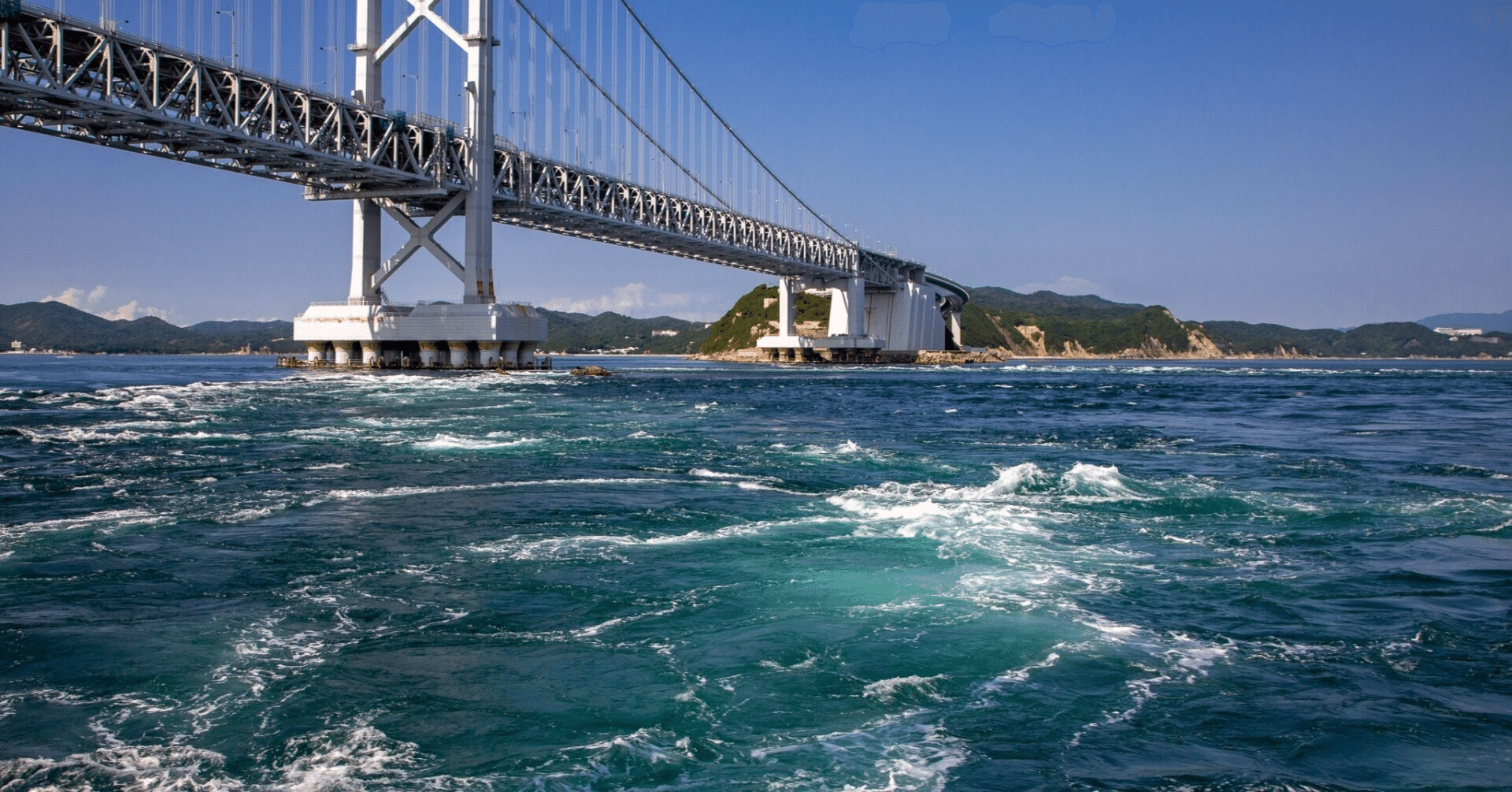 徳島の皆さんは「自信はないけど…徳島のことは好き！」と私も実感して