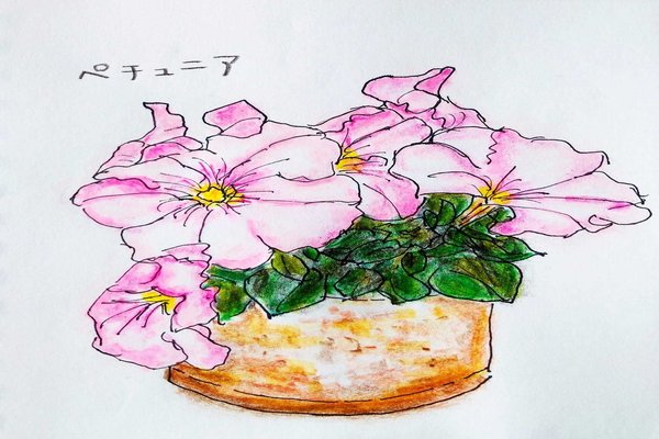 ペチュニアイラスト の新着タグ記事一覧 Note つくる つながる とどける