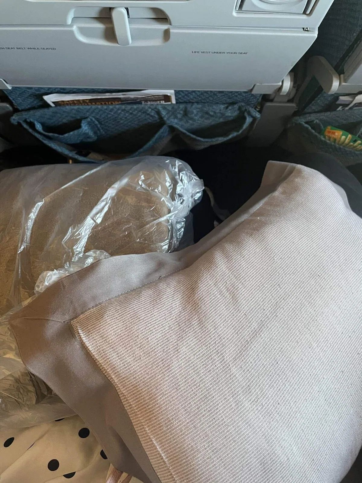 ️ [Singapore Airlines] SQ631 Flight Report (Haneda → Singapore) 💐｜おいなり