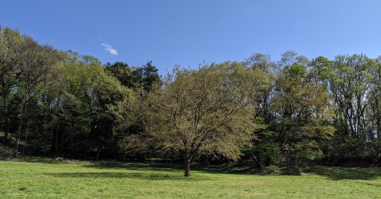 見知らぬ世界は境目のない世界 Dora E M Note