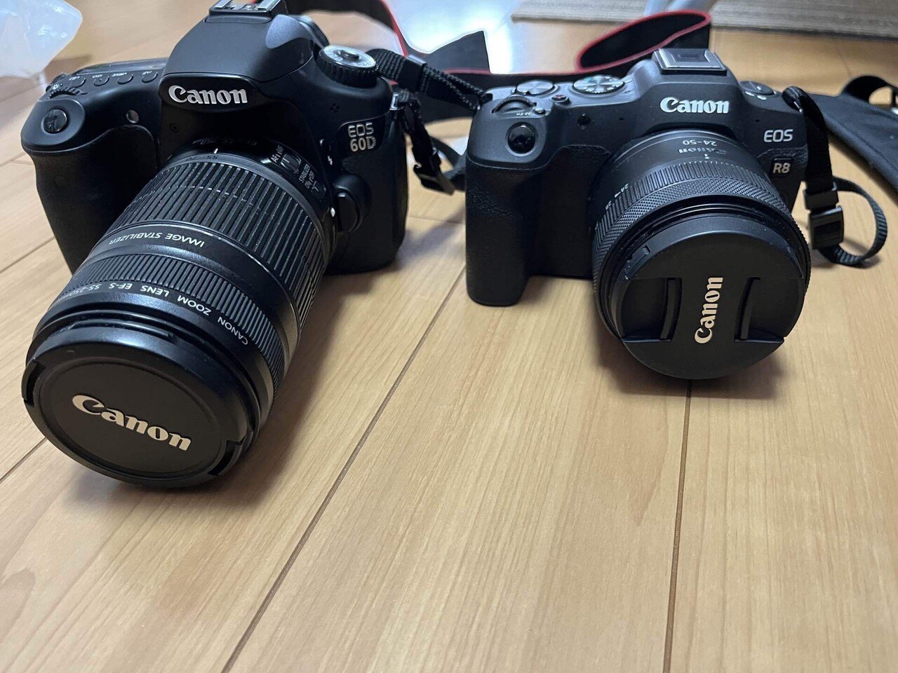 EOS60DからEOSR8に買い替えたらとても良かった｜シミタカ