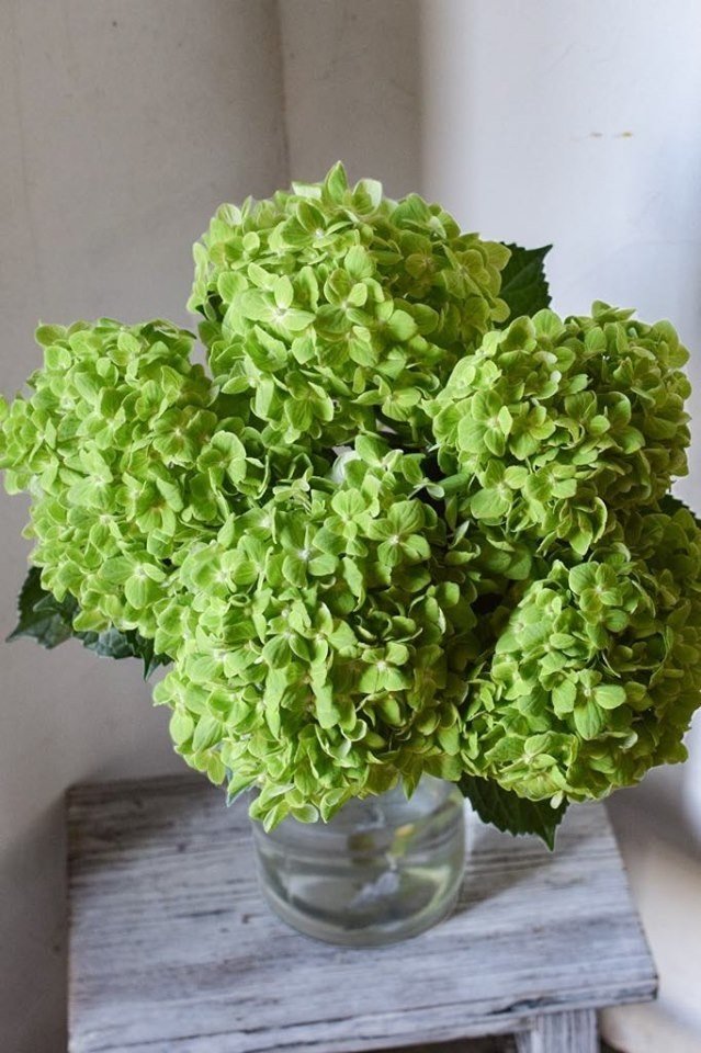 理想は お花の画像を丁寧に 花りん佐々木 Note 理想は お花の画像を丁寧に 花りん佐々木 Note