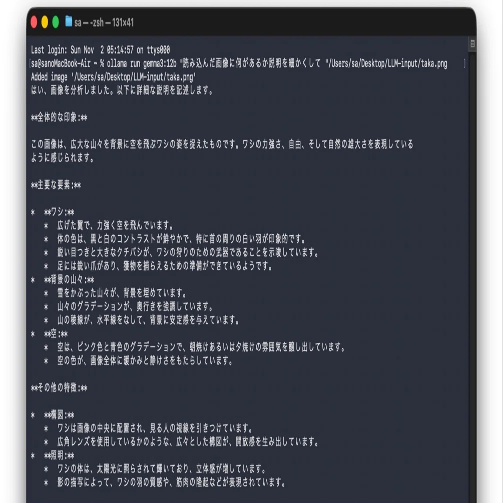 ollamaでgemma3:12bに画像データの解析をさせた件｜sa