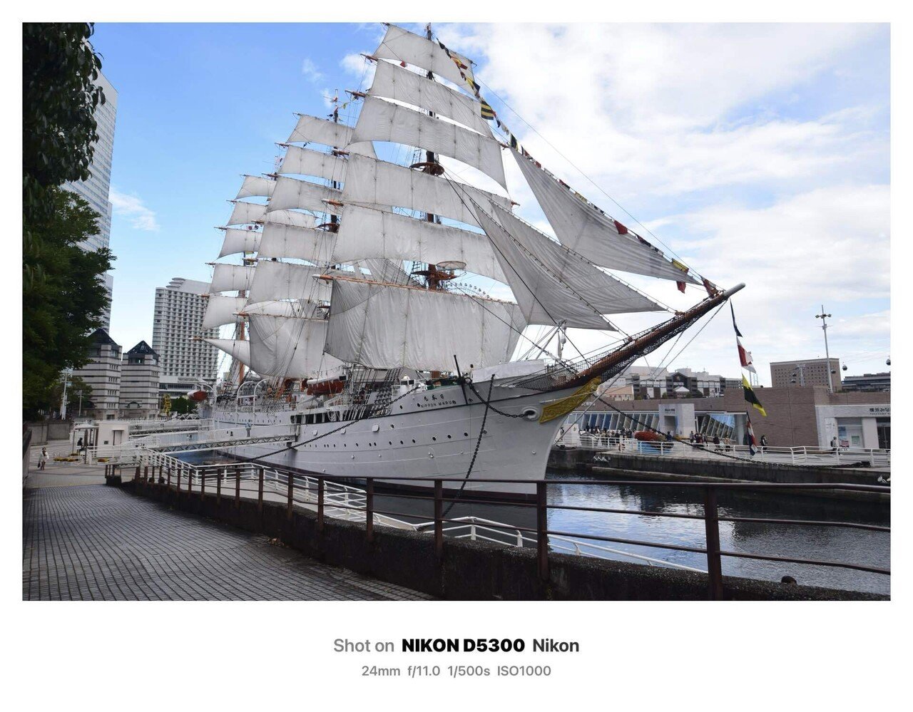 5%寄附◎ 光る黄金色 帆船 K-5 on X