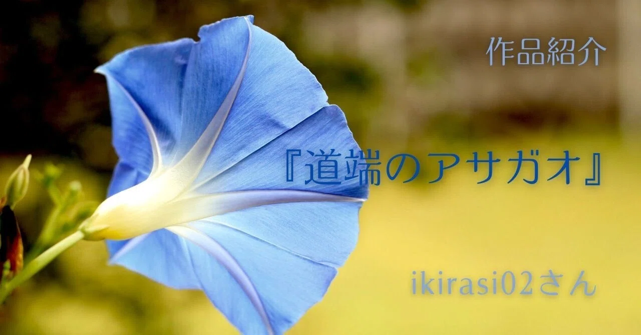 作品紹介『道端のアサガオ 』ikirasi02さん｜ペン先の欠片